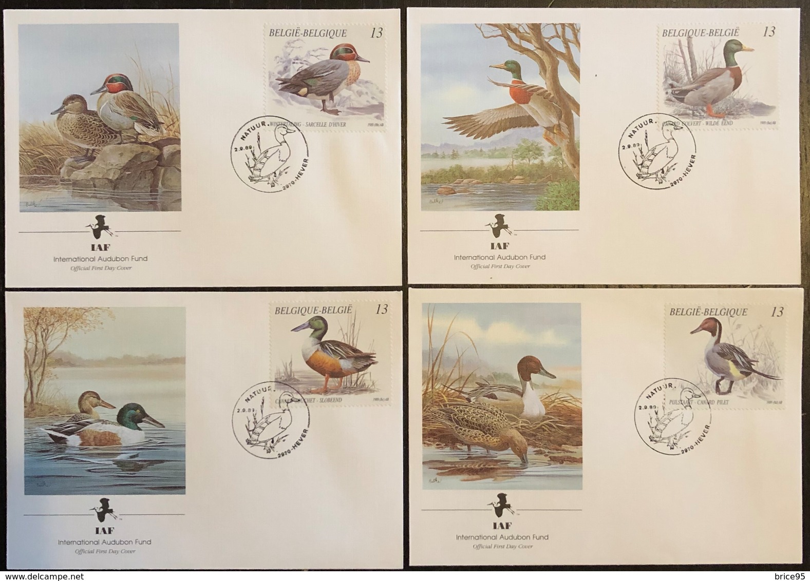 IAF - FDC Premier Jour - Oiseaux - Belgique - 1989 - Sonstige & Ohne Zuordnung