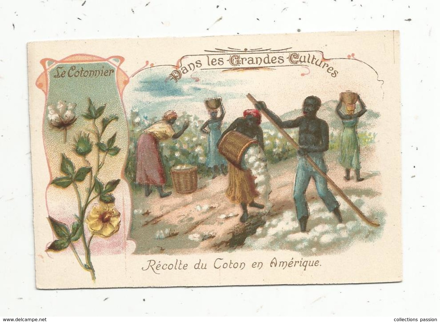 Chromo , Dans Les Grandes Cultures, Récolte Du Coton En AMERIQUE , 2 Scans - Autres & Non Classés