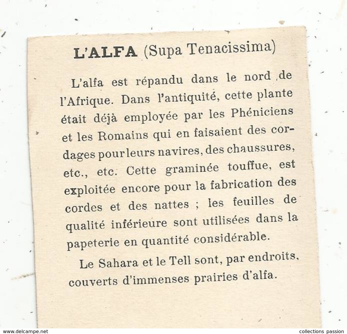 Chromo , Dans Les Grandes Cultures, Récolte De L'alfa En ALGERIE , 2 Scans - Autres & Non Classés