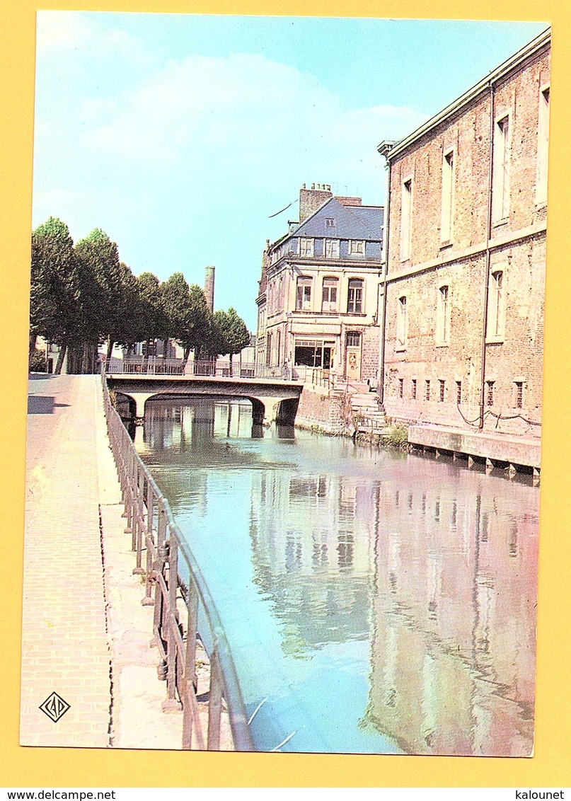 Carte Postale En Couleur " Bords De La Scarpe Et Le Palais De Justice " à DOUAI - Douai