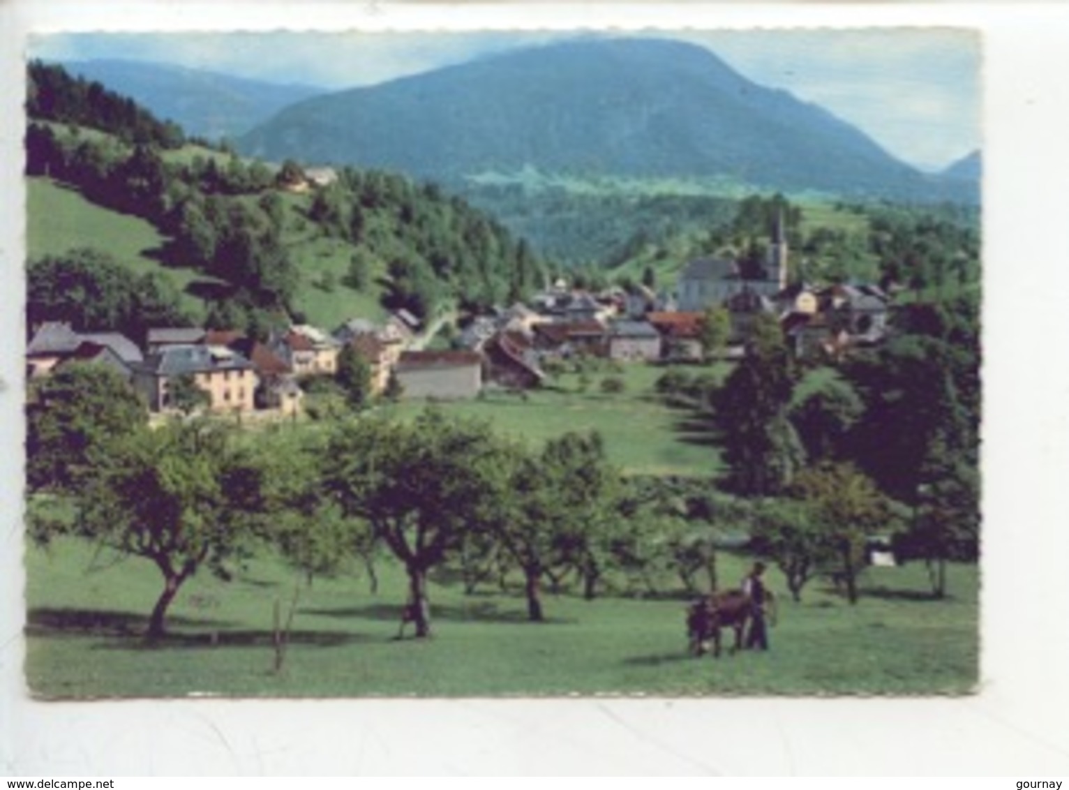 Saint Pierre D'Entremont (isère Et Savoie) Vue Générale (cp N°20517) Paysan Dans Son Champ - Ane - Paysans