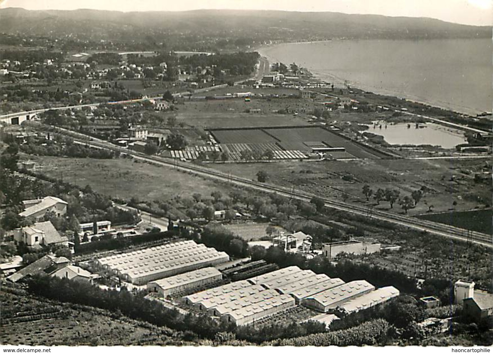 06 Villeneuve Loubet C L Thaon Horticulteur Semi Moderne - Autres & Non Classés