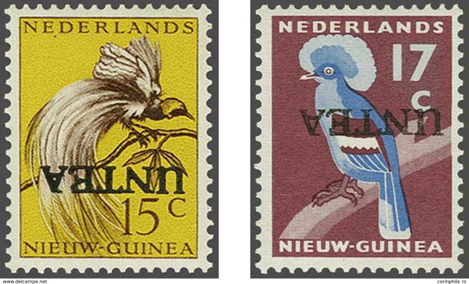 Netherlands New Guinea - Other & Unclassified