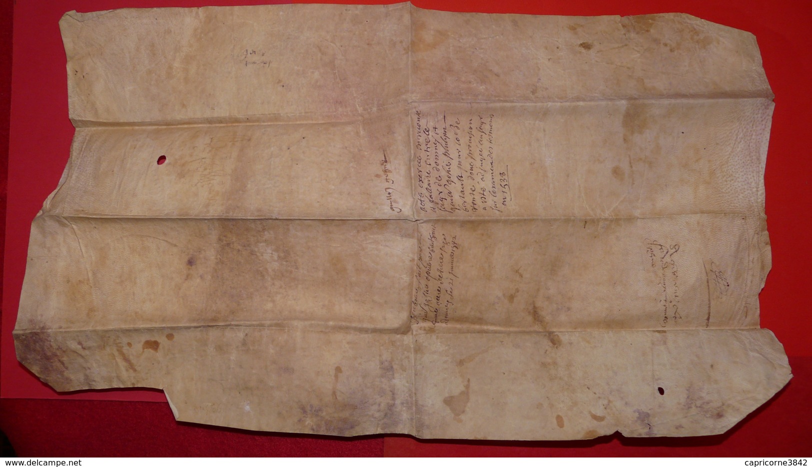 1538 - Grand Parchemin Manuscrit Sur Peau - 50 X 31 Cm - Plié Pour Archives - Ecriture Un Peu Atténuée Par L'âge - Manuscripts