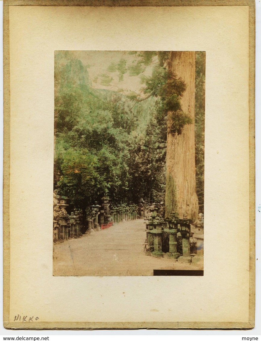 2 Photos Du Japon - XIXéme - Sur Papier Albuminé  - 1)  PAGODA AT NIKKO    2) PARC  AT NIKKO - Anciennes (Av. 1900)