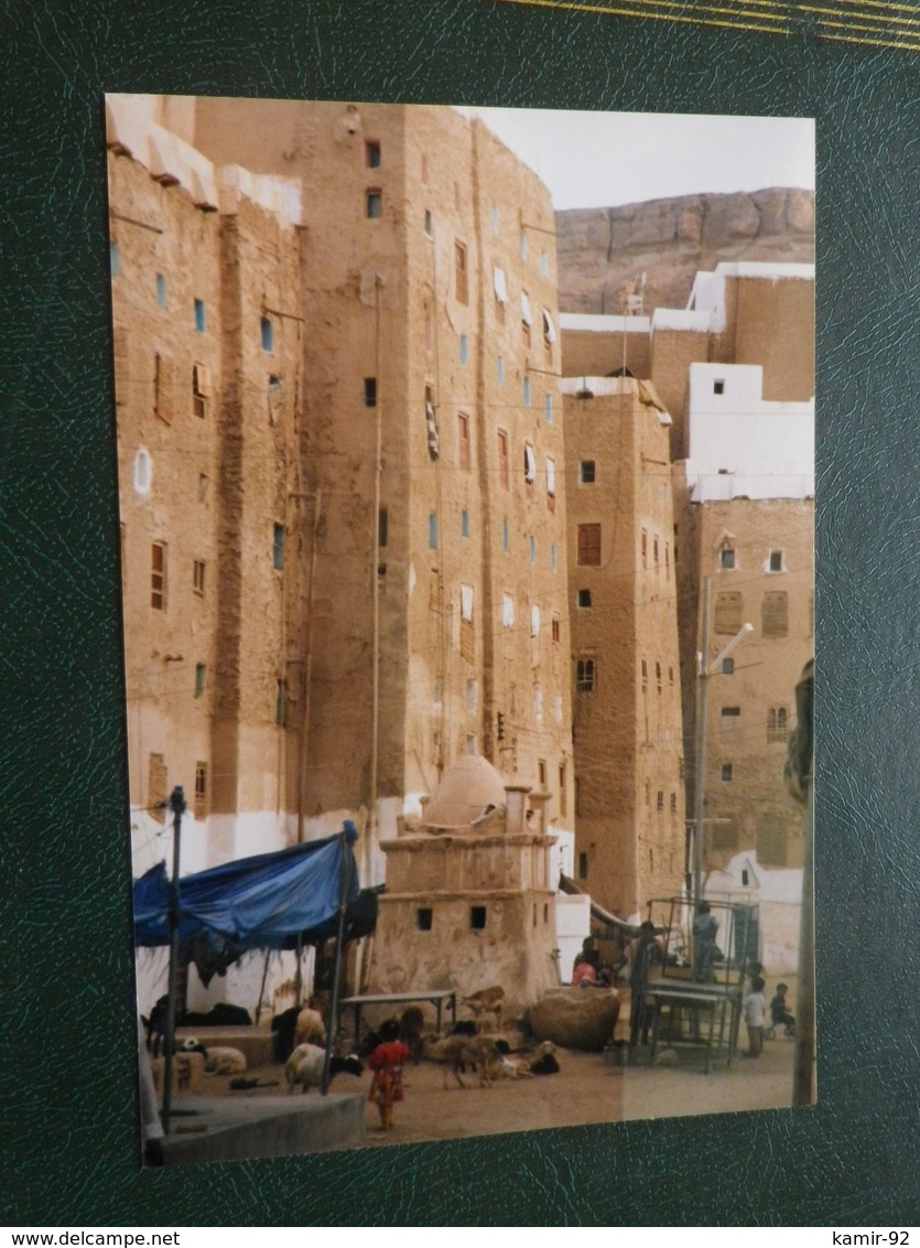 Yemen  Hadramaout   Maisons Hautes  Photo Originale 1998      14 X 9.5 - Autres & Non Classés