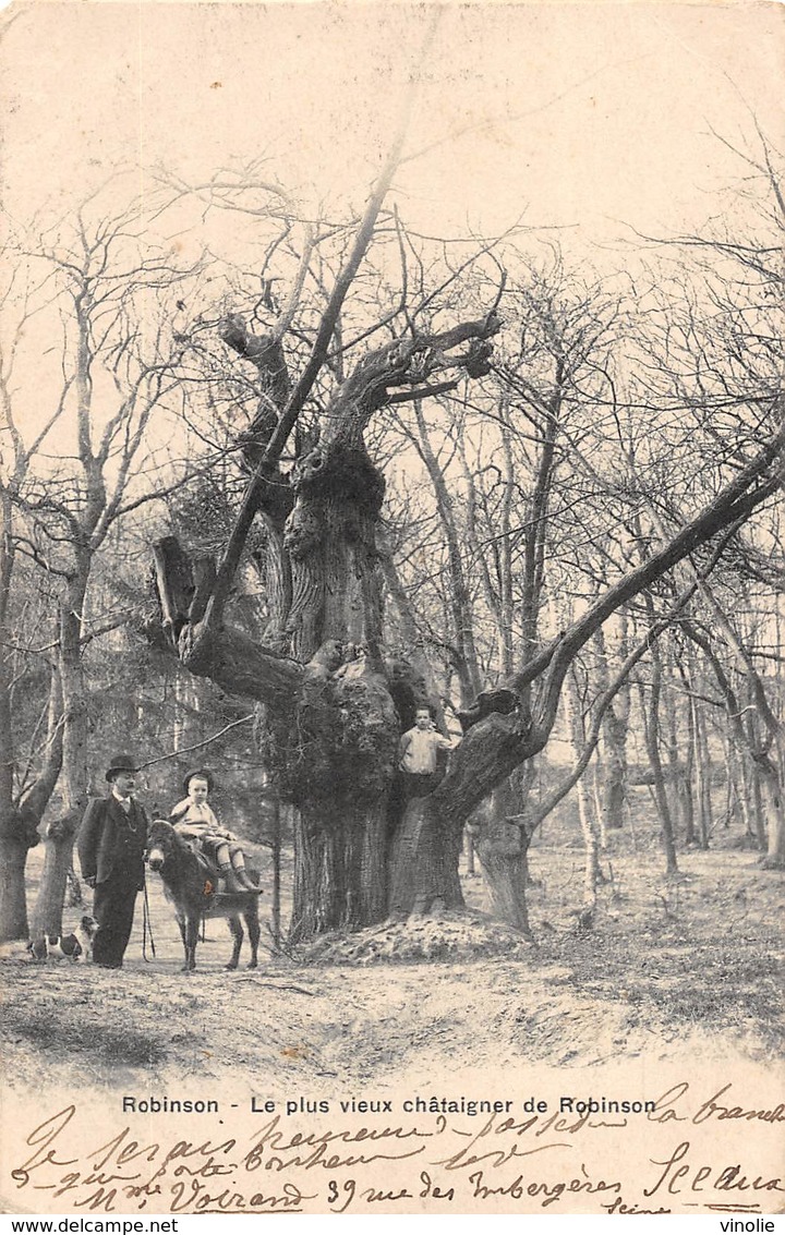 A-19-2486 :  TROGNE. TROGNES. ARBRE REMARQUABLE. ROBINSON. VIEUX CHATAIGNIER. - Trees