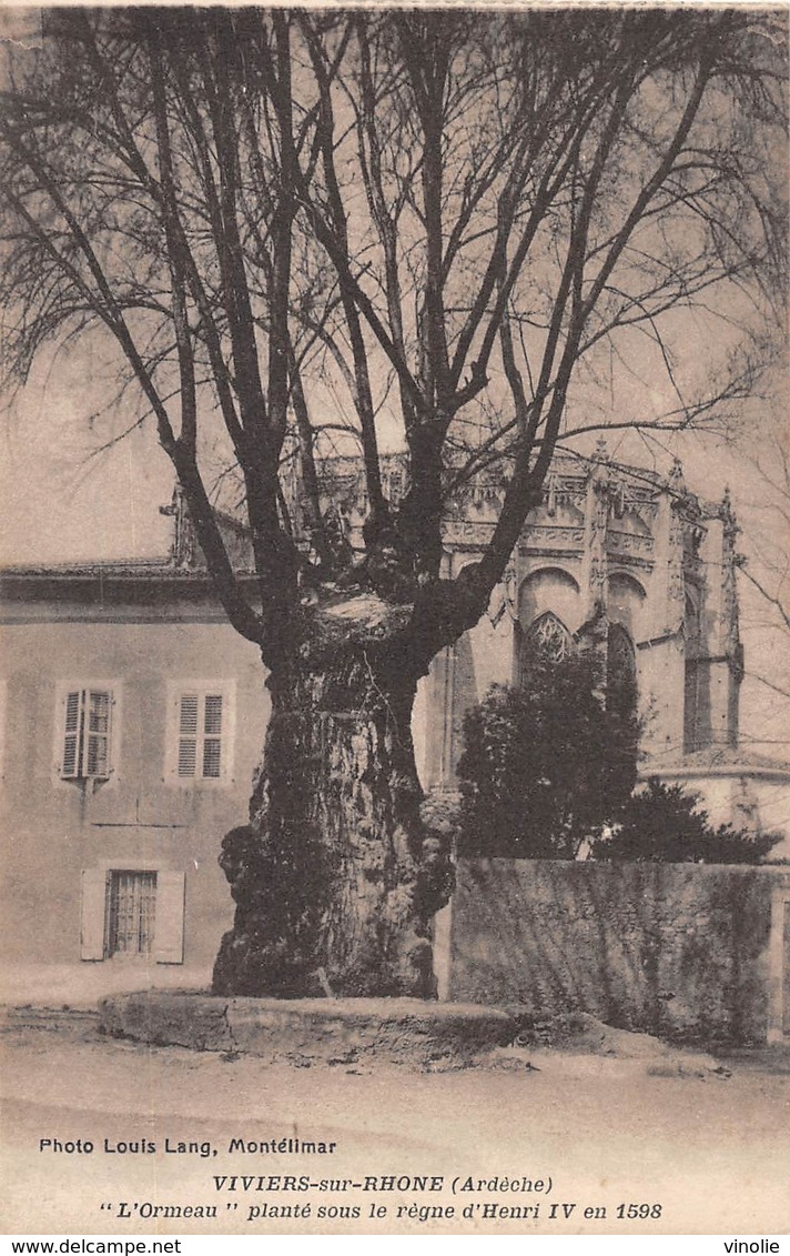 A-19-2490 :  TROGNE. TROGNES. ARBRE REMARQUABLE. VIVIERS SUR RHONE. ORMEAU PLANTE SOUS LE REGNE D'HENRI IV. - Alberi