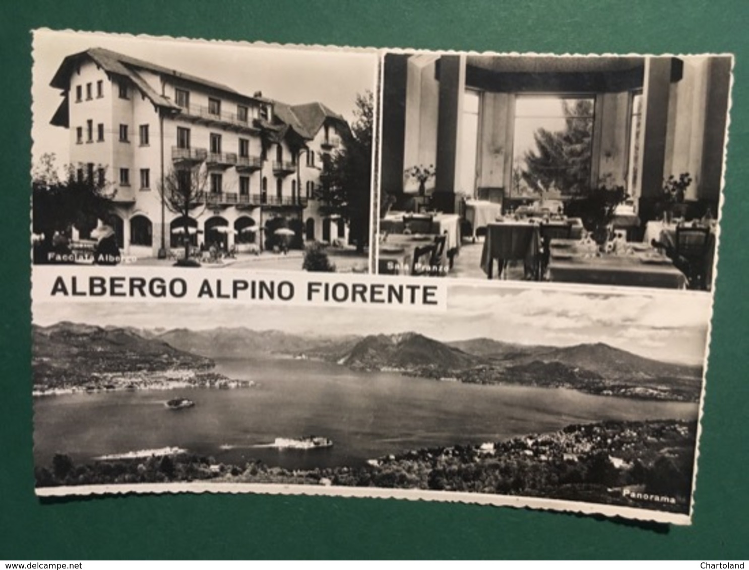 Cartolina Albergo Alpino Fiorente - Sala Da Pranzo - Panorama - 1960 - Verbania