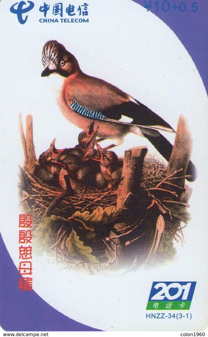 TARJETA TELEFONICA DE CHINA. AVES - BIRDS. Bird & Chicks. HNZZ-34(3-1). (645). - Otros & Sin Clasificación