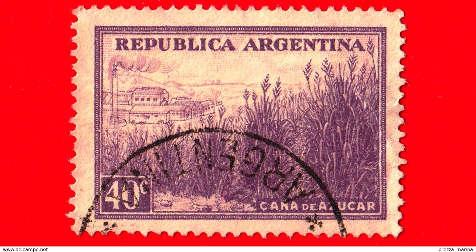 ARGENTINA - Usato - 1935 - Produzione Canna Da Zucchero - 40 - Usados