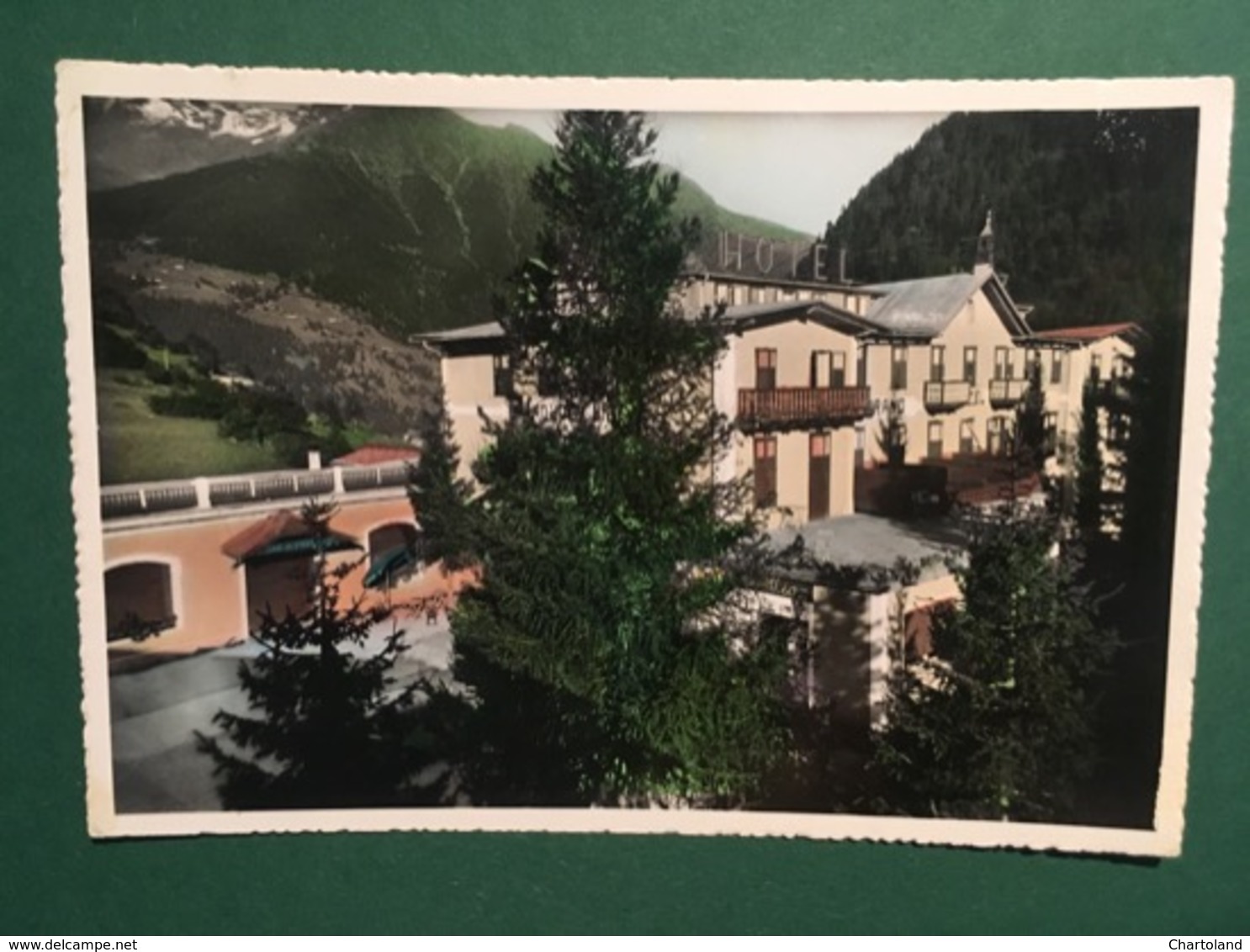 Cartolina Acidule Di Pejo M.1440 - Hotel Vioz - 1965 Ca. - Trento