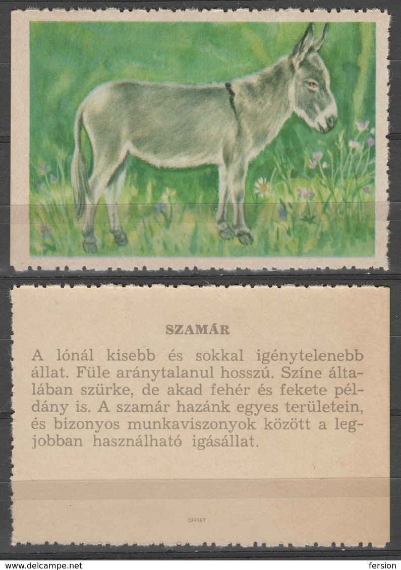 Donkey / Hungary 1960's Offset PRESS - Poster LABEL CINDERELLA VIGNETTE - Burros Y Asnos