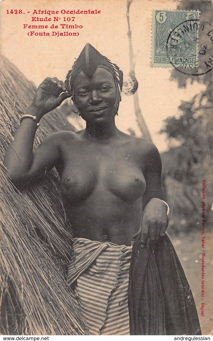 CPA AFRIQUE OCCIDENTALE - Etude N° 107 - Femme De Timbo ( Fouta Djallon ) - Guinée