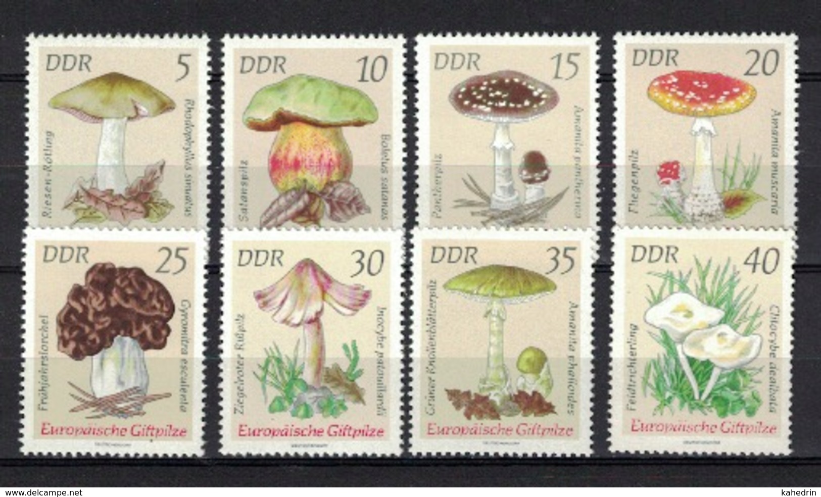 DDR 1974, Pilze Paddestoel Fungus Mushroom Champignon Seta Fungo **, MNH - Pilze