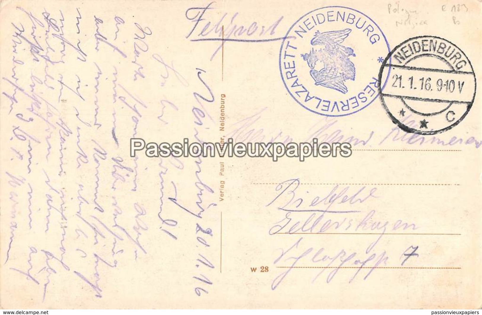 NIDZIKA NEIDENBURG 1916 - Pologne