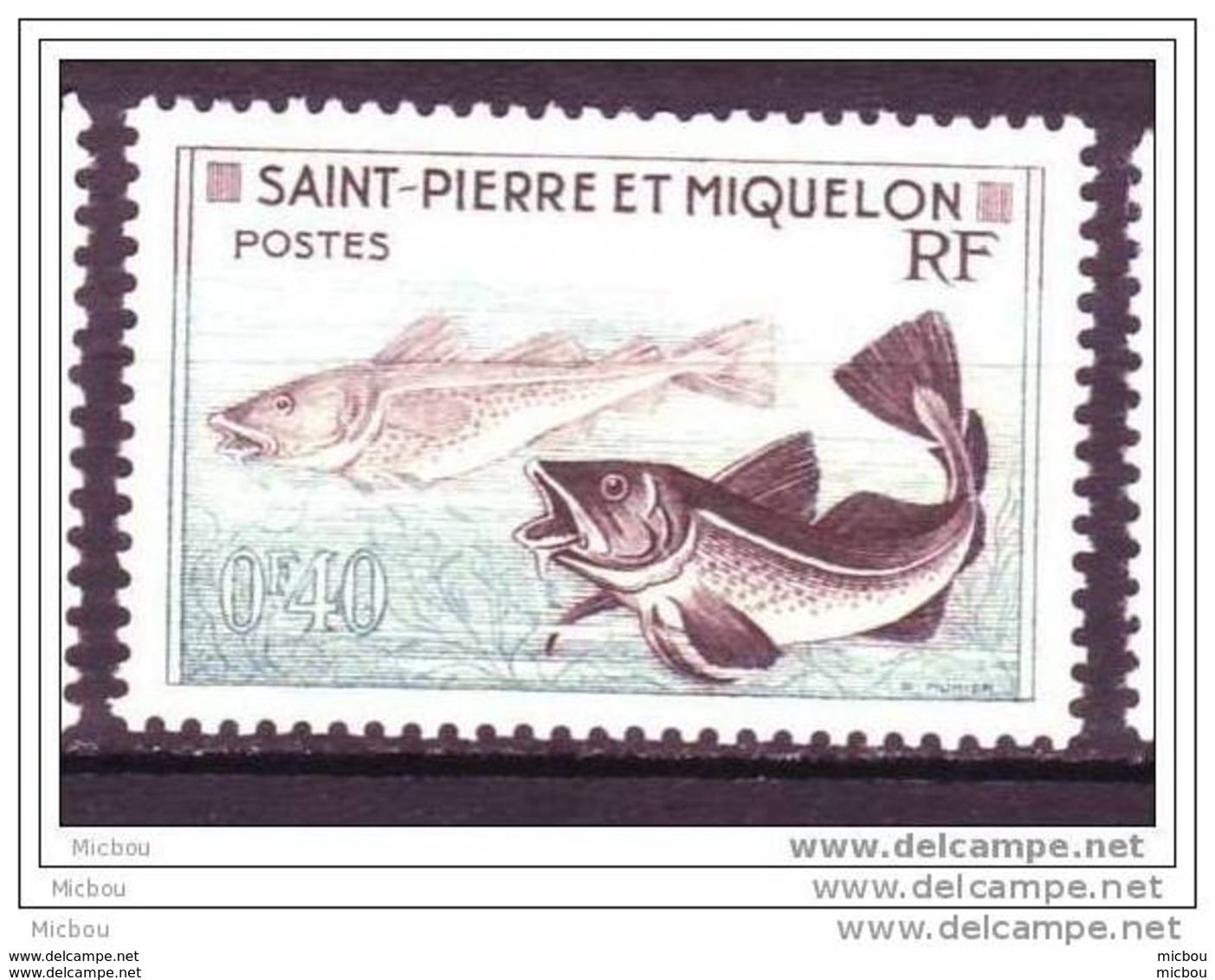 SPM, Poisson, Fish, - Poissons