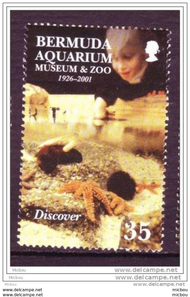 Bermudes, Bermuda, Aquarium, Musée, Zoo, Poisson, étoile De Mer, Starfish, Fish, Élizabeth II - Poissons