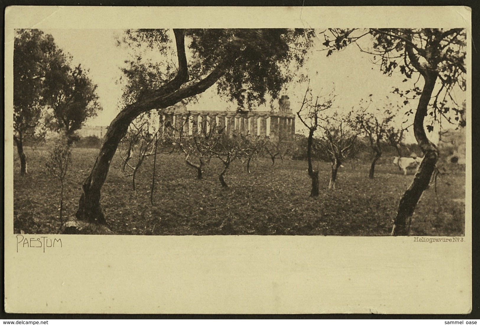 Paestum  -  Tempel Von Ceres  -  Ansichtskarte Ca. 1900   (9855) - Salerno