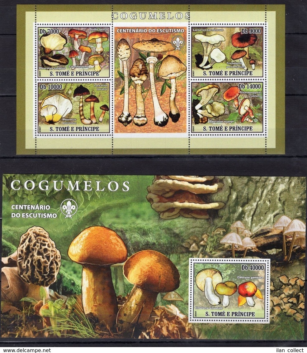 Sao Tome 2007 - Mushrooms.Flora.Nature - MNH**-stamps - MNH** - Del.1 - Mushrooms