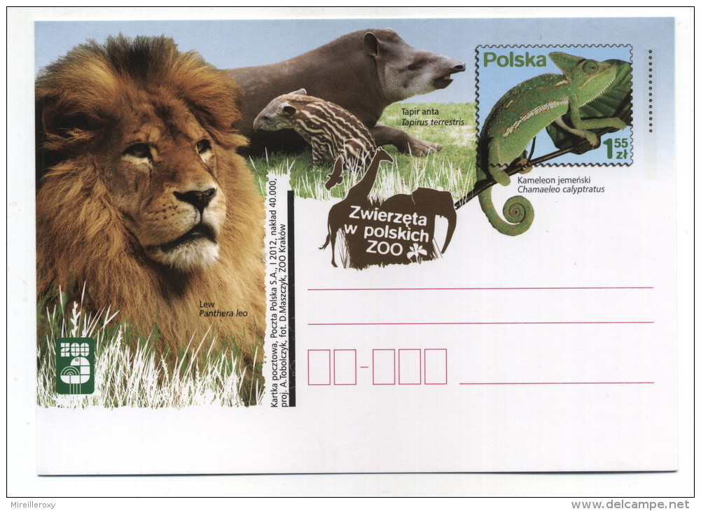 ENTIER POSTAL POLOGNE ZOO PANTHERE CAMELEON TAPIR ANTA - Eléphants