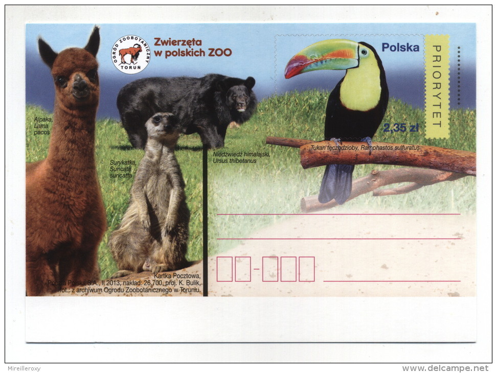 ENTIER POSTAL POLOGNE ZOO LAMA OURS TOUCAN - Eléphants