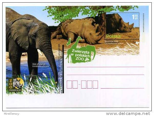 ENTIER POSTAL POLOGNE ZOO ELEPHANT RHINOCEROS - Eléphants