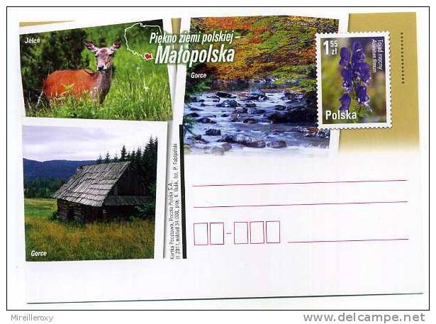 ENTIER POSTAL POLOGNE BICHE  FLEUR PAYSAGE CABANE GORCE - Gibier