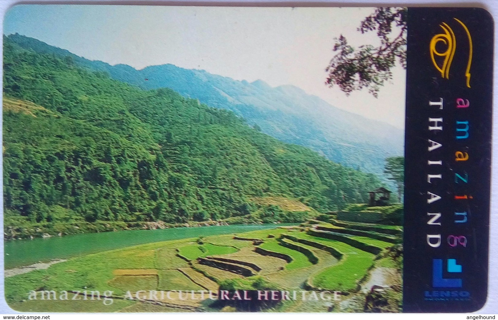 300 Baht Traditional Rice Paddies - Thaïlande