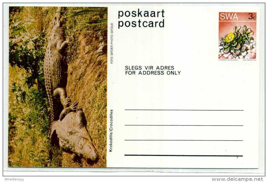 REPTILE / CROCODILE / ENTIER POSTAL AFRIQUE DU SUD / SUDWEST AFRIKA / STATIONERY / - Autres & Non Classés