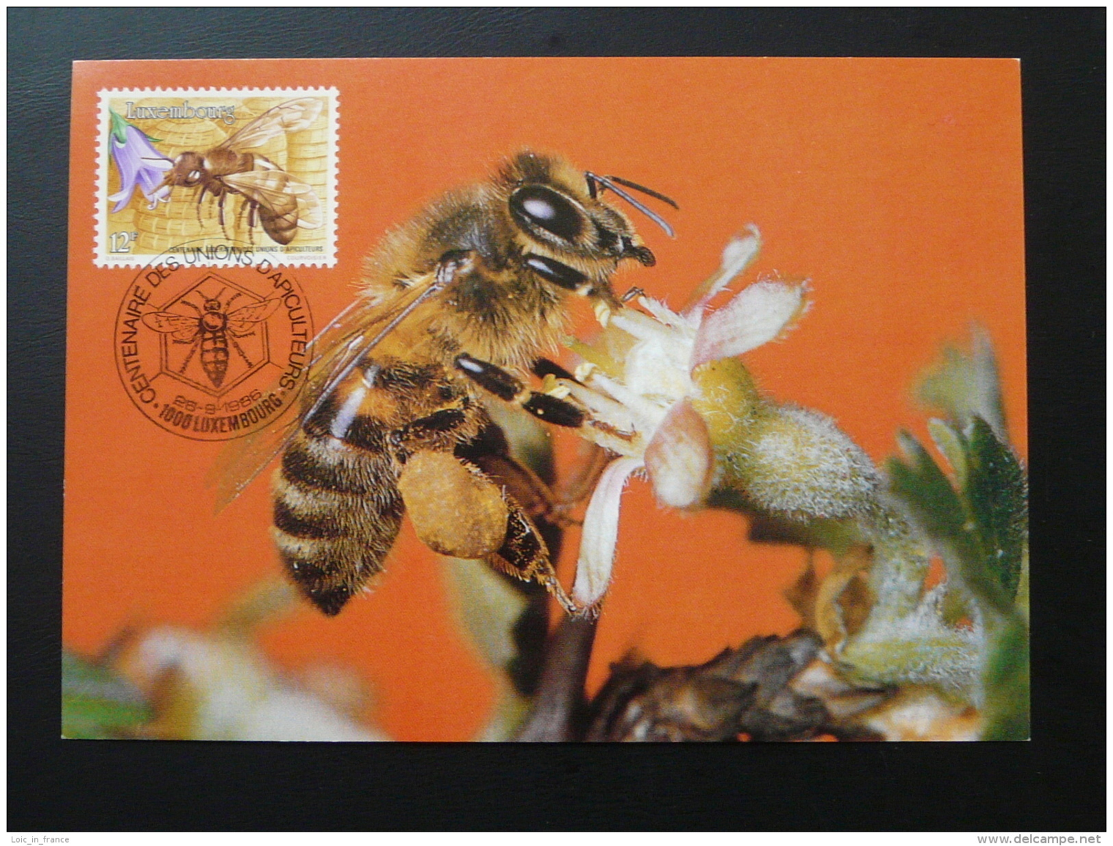 Carte Maximum Card Abeille Bee Luxembourg 1986 - Maximum Cards