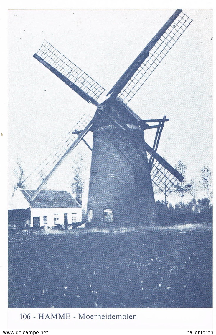 Hamme: Moerheidemolen ( 2 Scans) - Hamme