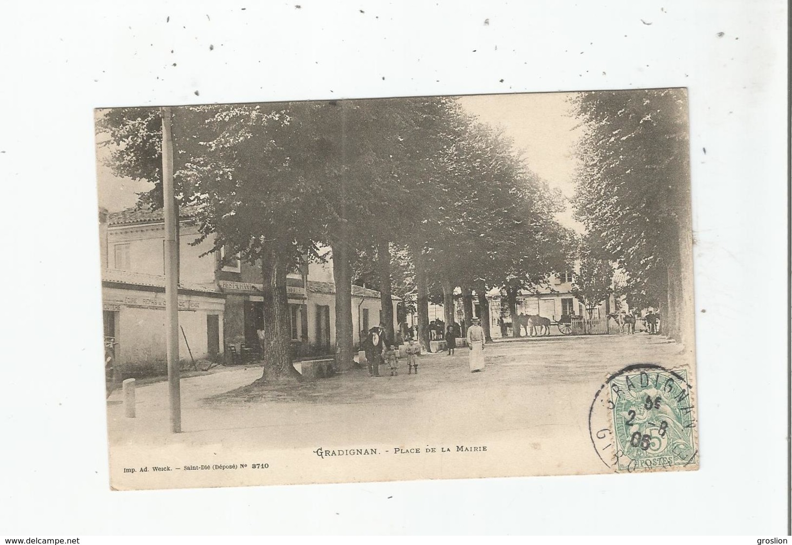 GRADIGNAN (GIRONDE) 3710 PLACE DE LA MAIRIE (CHEVAUX ET ANIMATION) 1905 - Gradignan