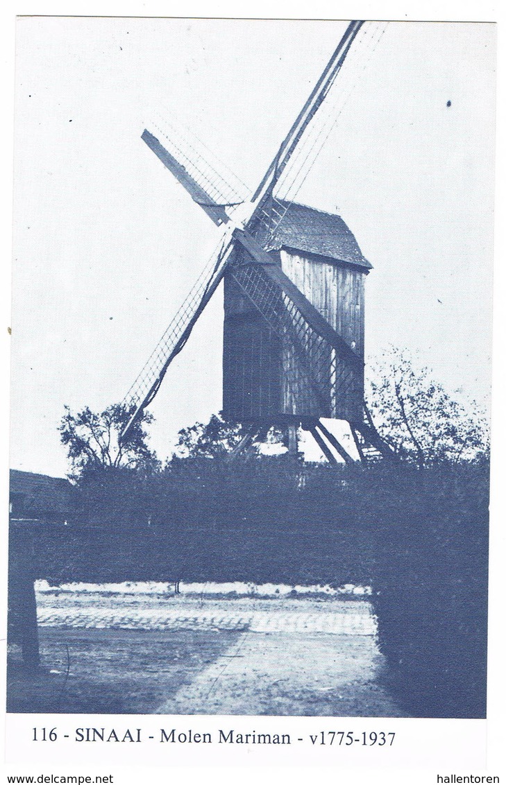 Sinaai: Molen Mariman ( 2 Scans) - Andere & Zonder Classificatie