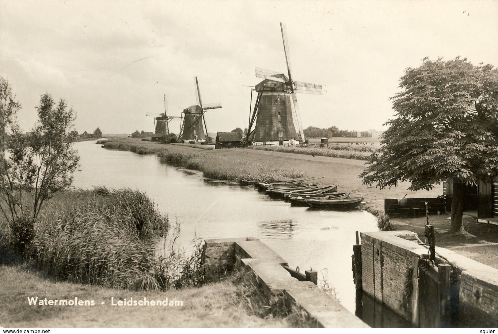 Leidschendam, 3 Windmills, Bovenkruiers, Real Photo - Watermolens