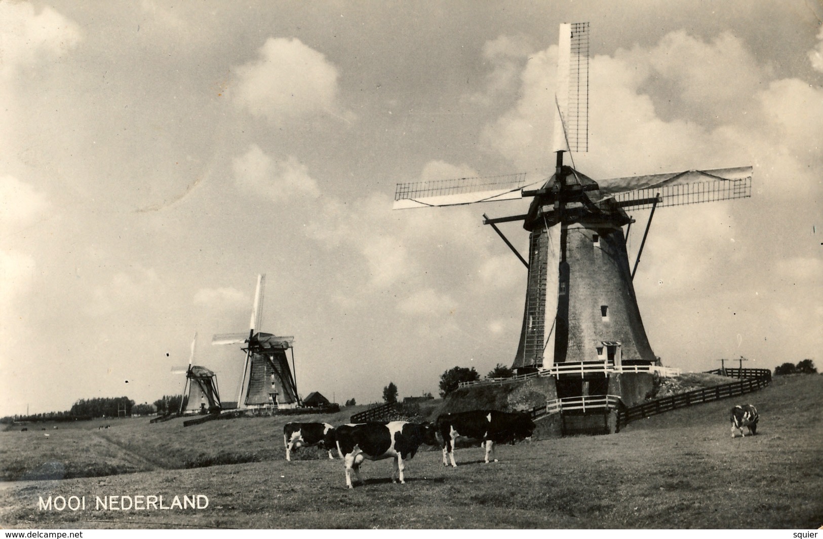 Leidschendam,  Windmills, Bovenkruiers,Cows, Real Photo - Watermolens