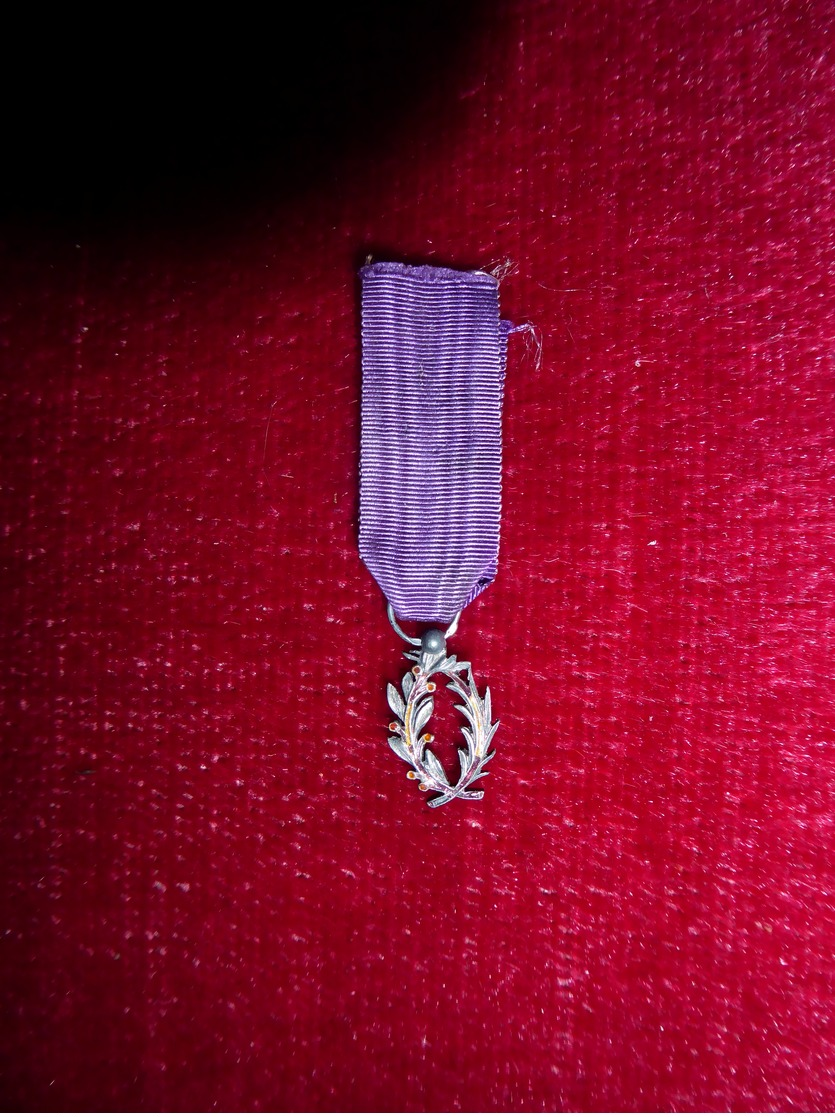 REDUCTION  De  MEDAILLE  " PALMES ACADEMIQUES " - France