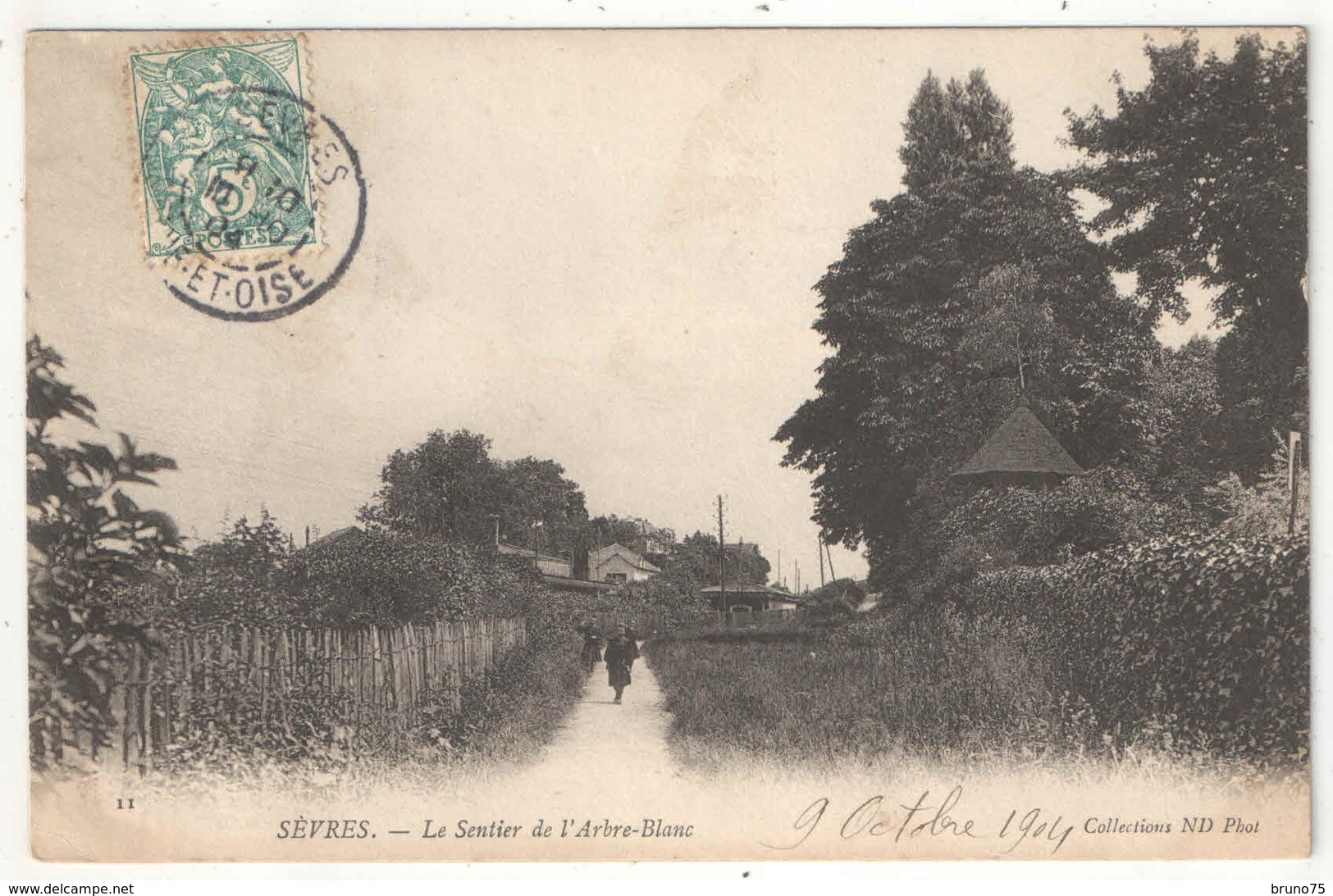 92 - SÈVRES - Le Sentier De L'Arbre-Blanc - ND 11 - 1904 - Sevres