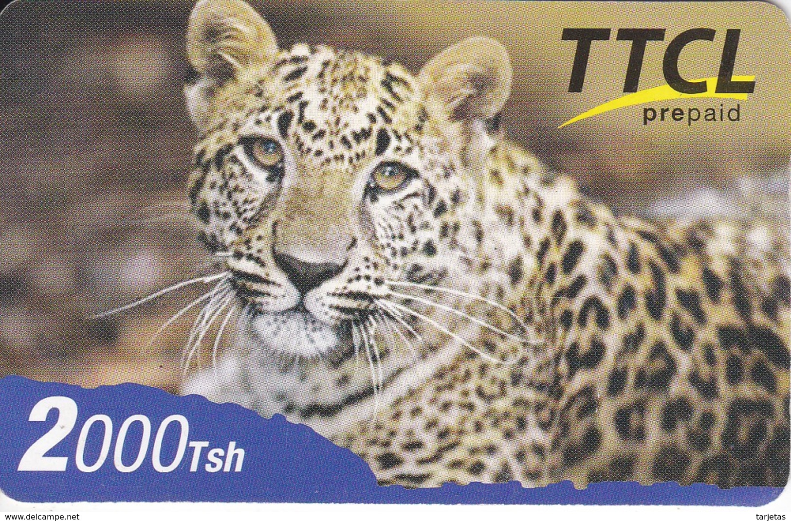 TARJETA DE TANZANIA DE 2000 TSH  DE TTCL DE UN LEOPARDO (LEOPARD) RARA - Tanzania