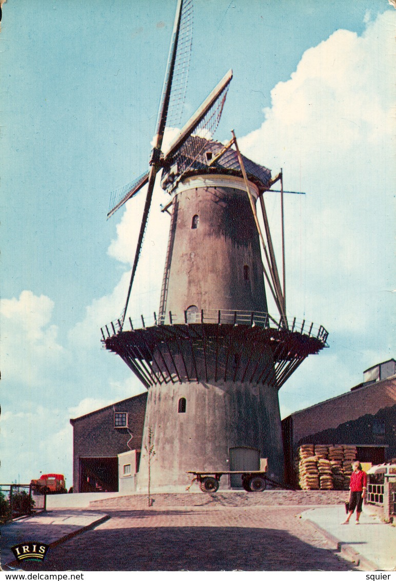 Zoetermeer,De Hoop, Stellingmolen, Windmill, - Windmolens