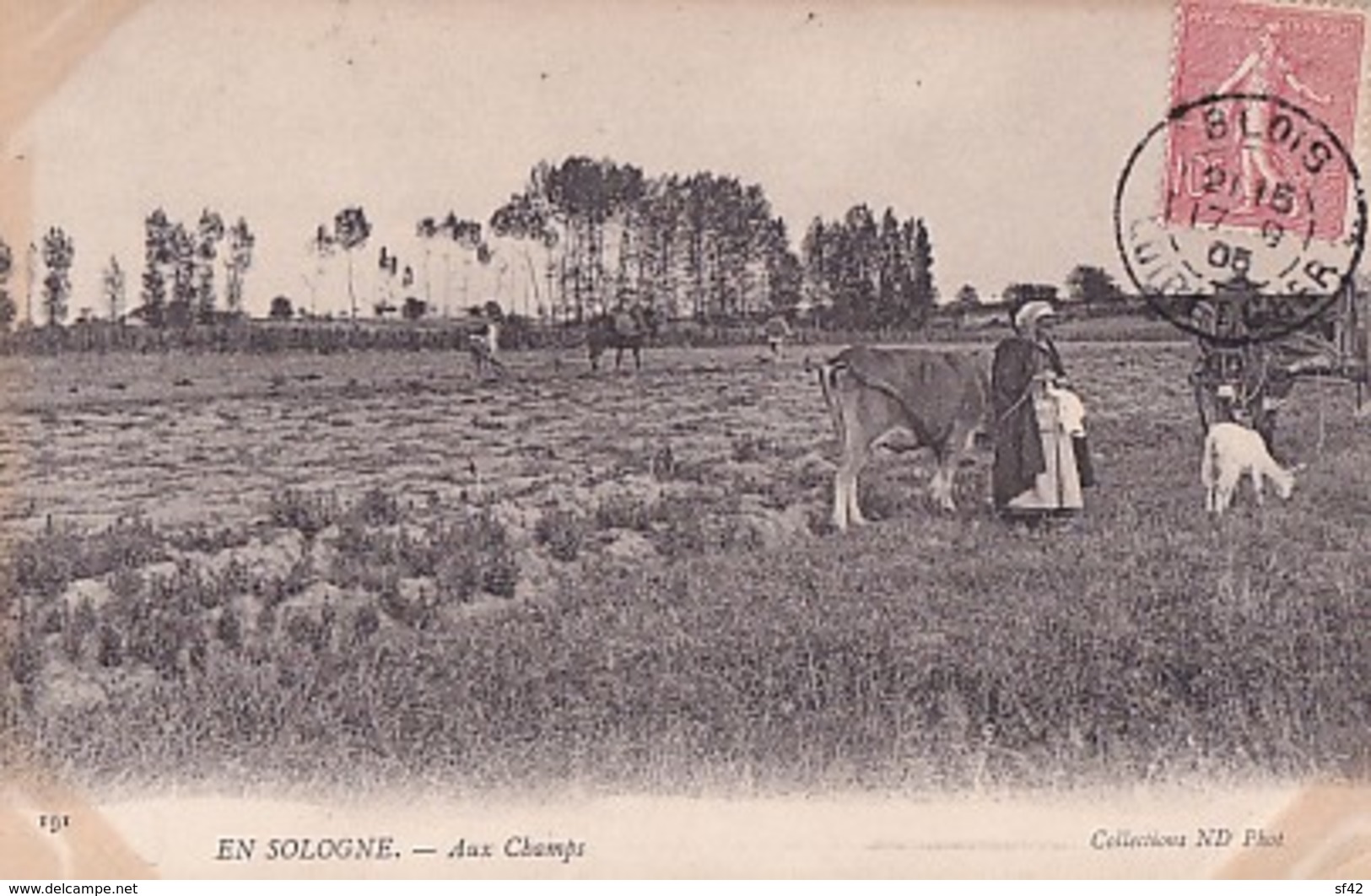 EN SOLOGNE        AUX CHAMPS - Centre-Val De Loire