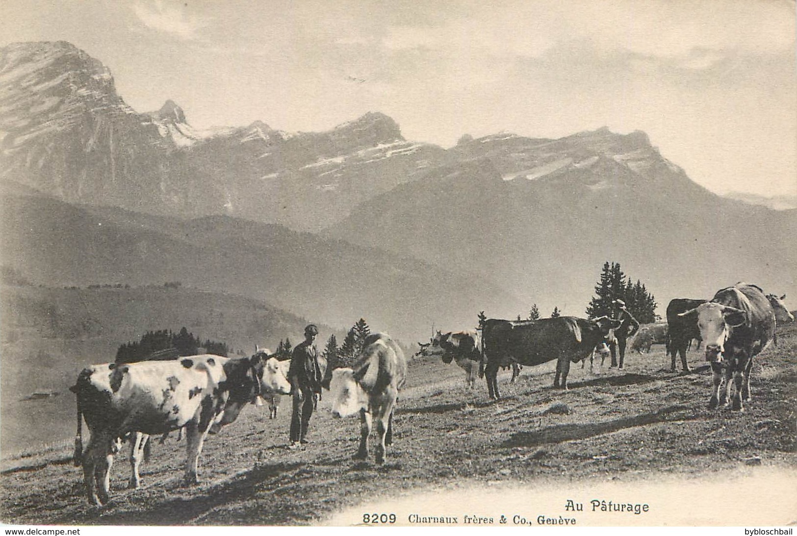 CPA Suisse Canton De Vaud VD Chesières 1915 Au Paturage - Autres & Non Classés