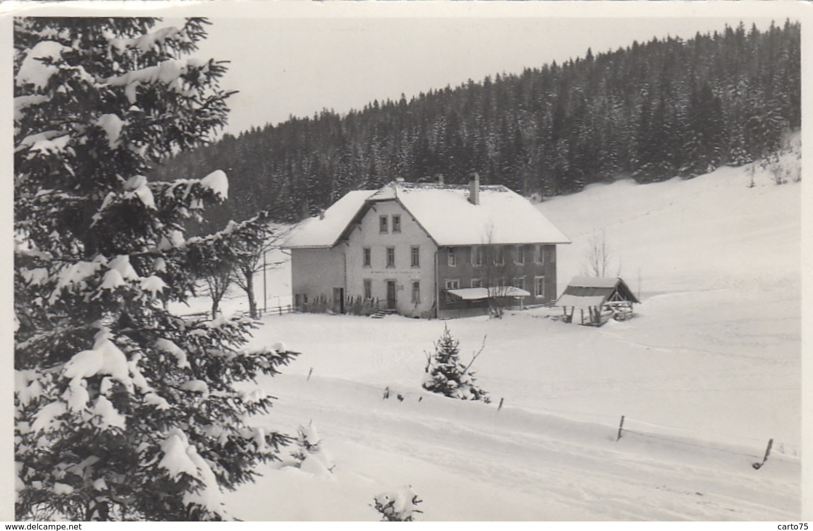 Suisse - Les Grandes Roches S/Le Brassus - Neige - Colonie De Vacances Ville De Morges - Morges