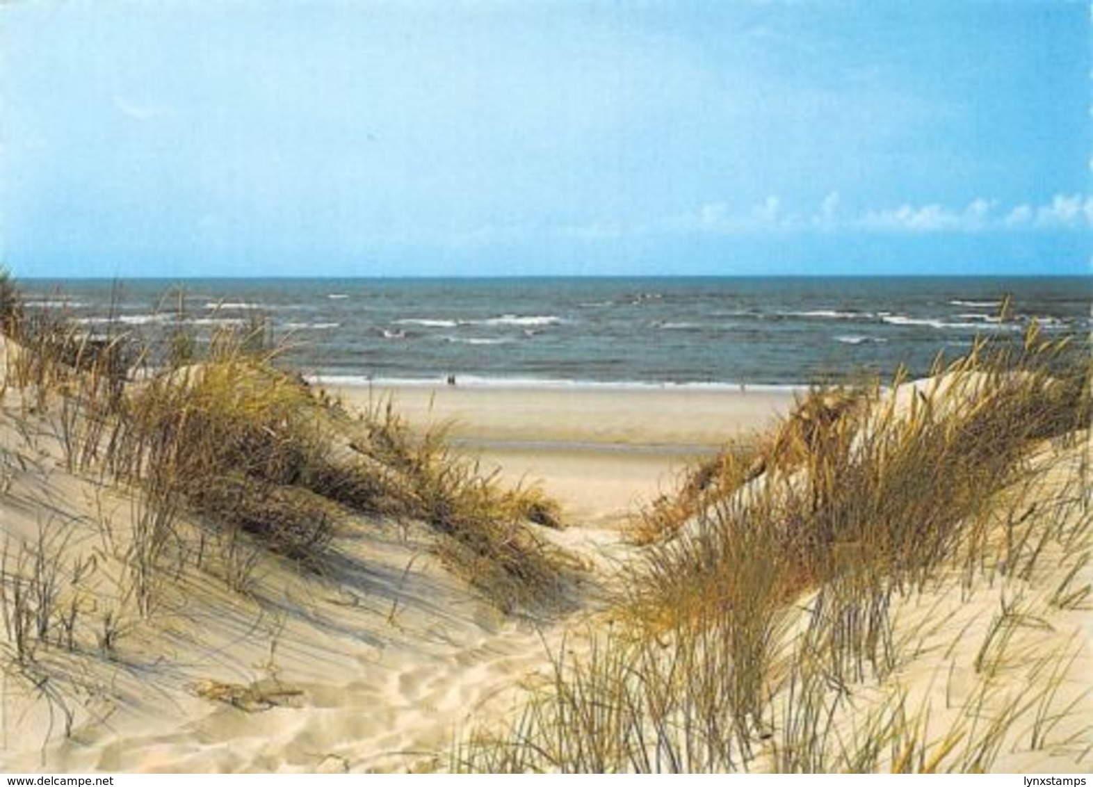 Die Schoene Insel Sylt Duenenausblick An Der Nordsee Beach - Die