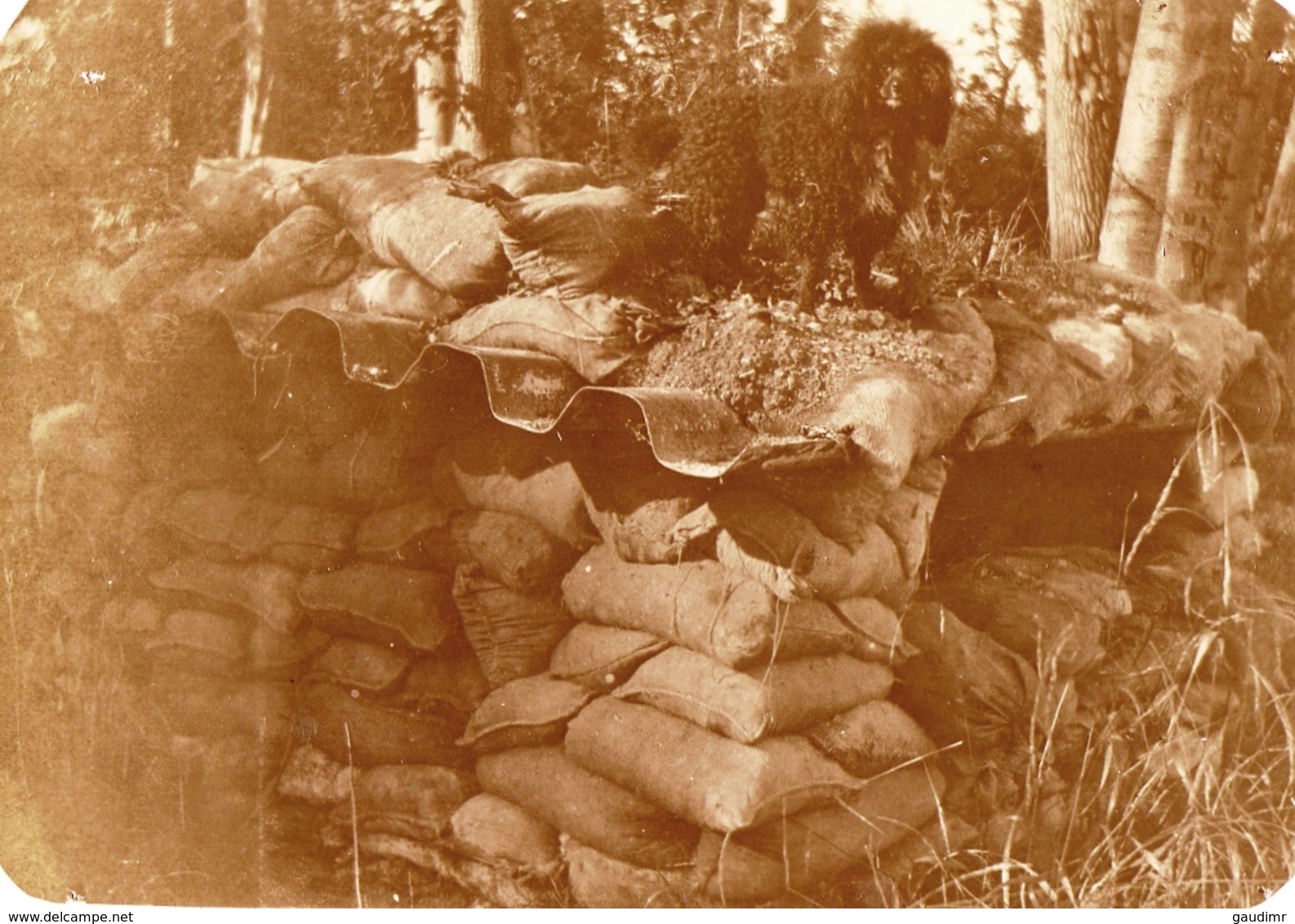 PHOTO FRANÇAISE - NID DE MITRAILLEUSE AU BORD DE LA VESLE A TAISSY PRES DE REIMS MARNE 1919 - GUERRE 1914 1918 - 1914-18