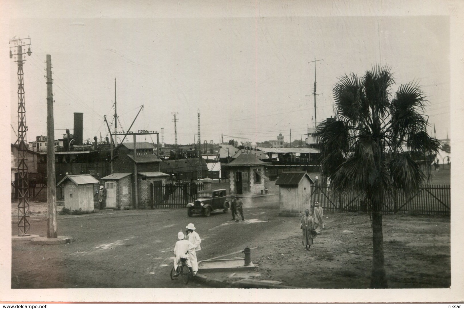 SENEGAL(DAKAR) ARBRE - Sénégal