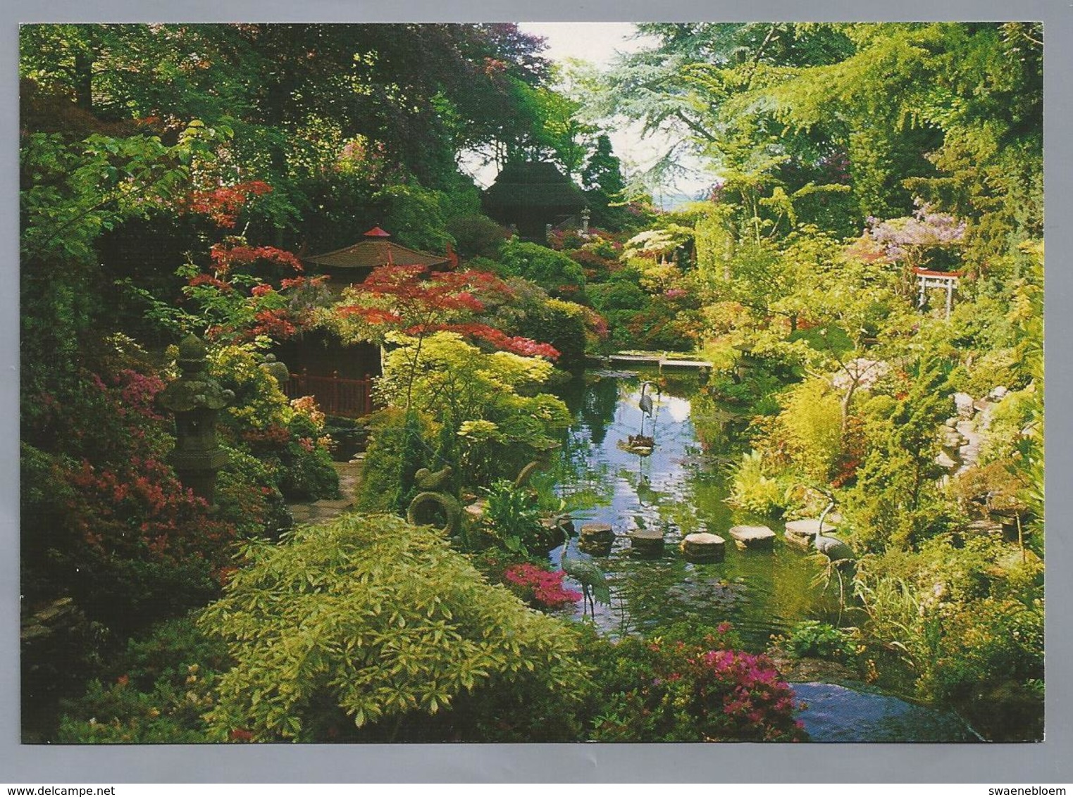 UK.- DORSET. POOLE. COMPTON ACRES. THE JAPANESE GARDEN. - Andere & Zonder Classificatie