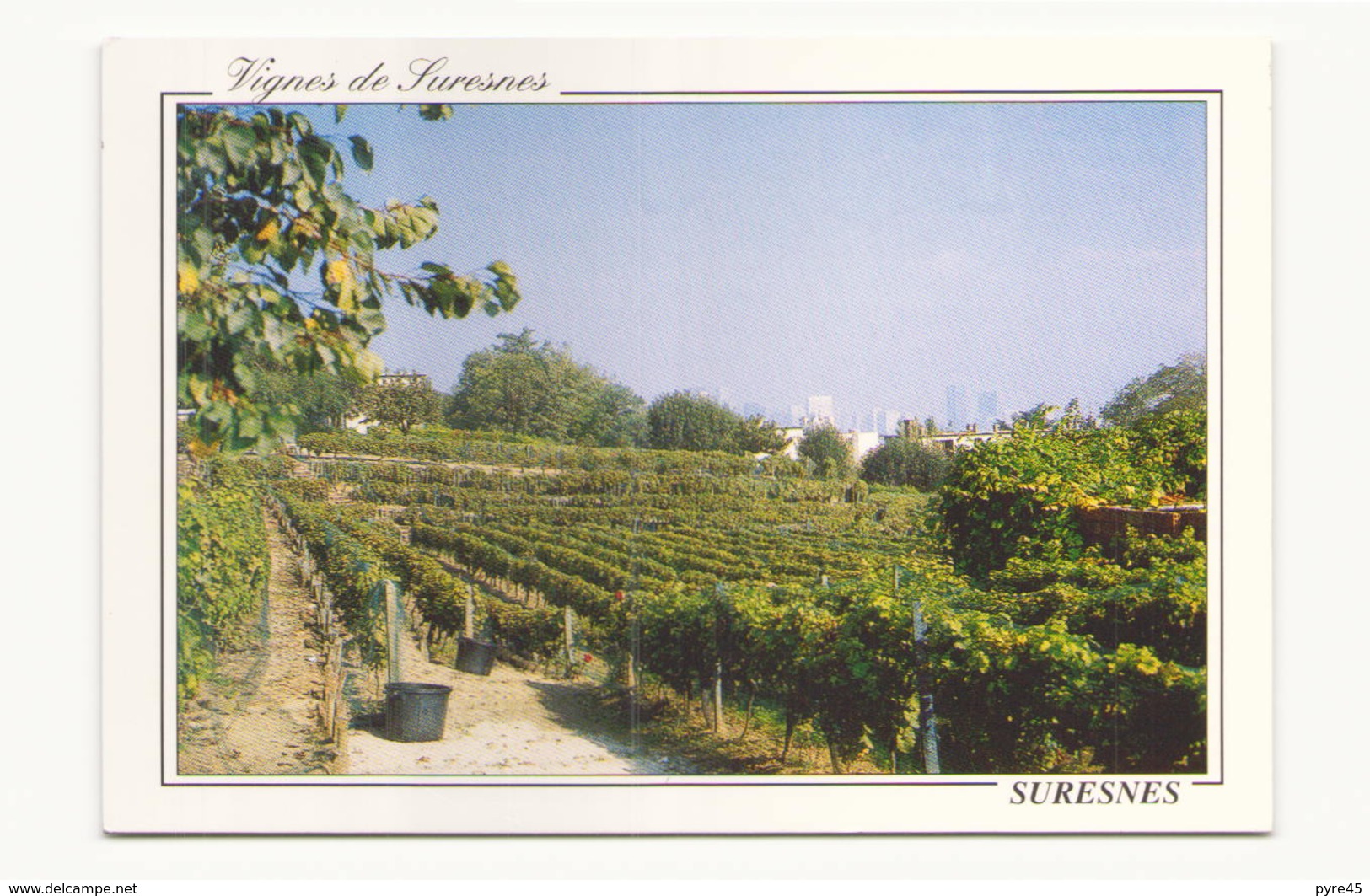 SURESNES VIGNES HISTORIQUES 92 - Suresnes