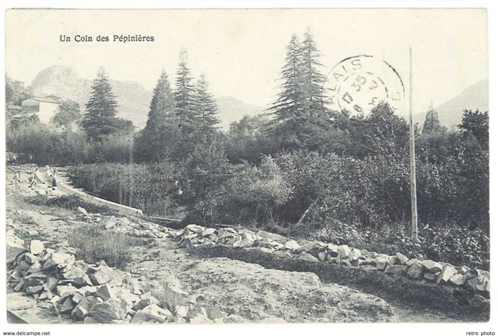 Cpa " Un Coin Des Pépinières ", Domaine De Prafrance Par Générargues ( Cachet Perlé ) - Autres & Non Classés