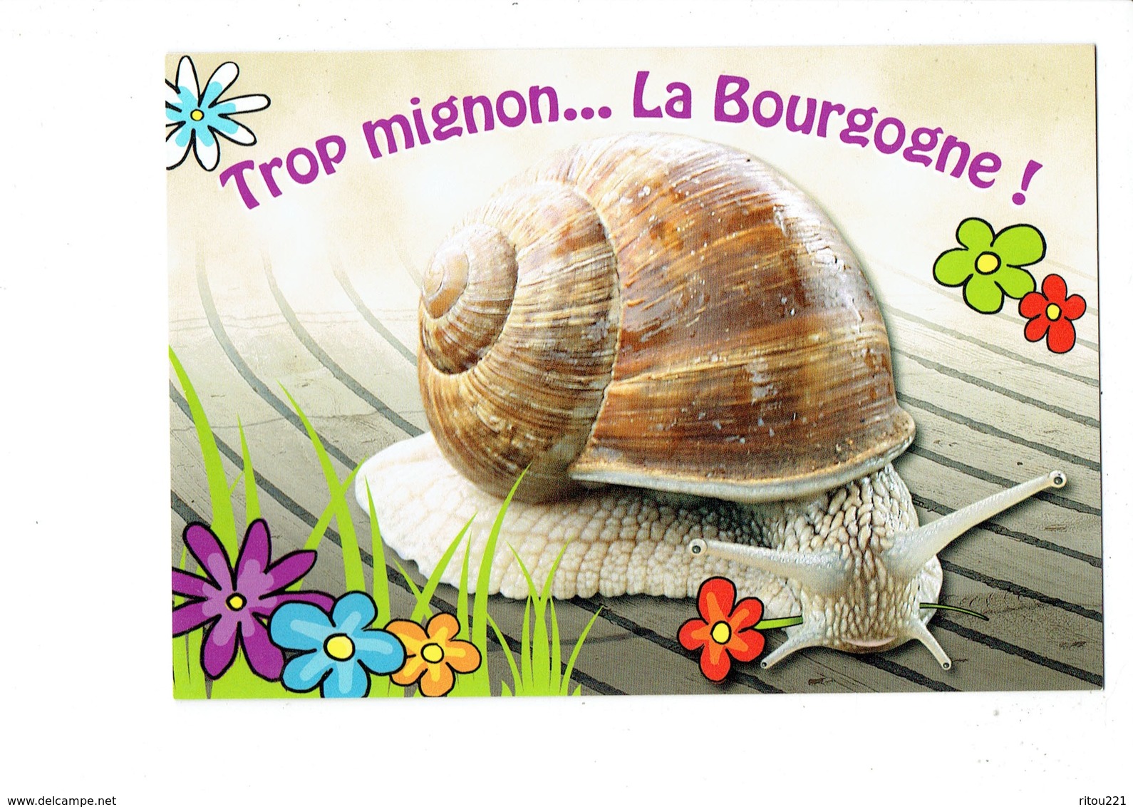 Cpm - Trop Mignon La Bourgogne - Escargot Gros Plan - Valoire-estel A 20528 W - Autres & Non Classés